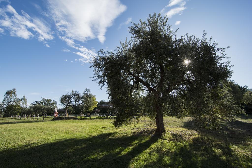 סקרלינו Tenuta Col Di Sasso מראה חיצוני תמונה