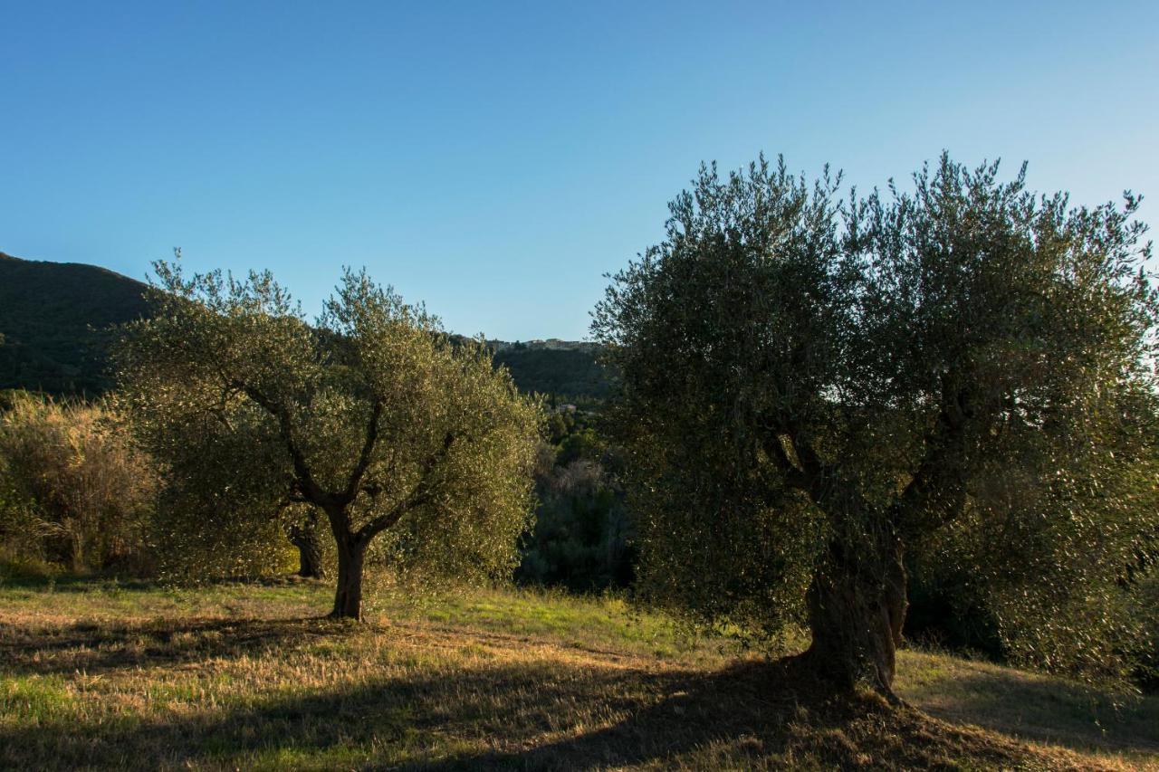 סקרלינו Tenuta Col Di Sasso מראה חיצוני תמונה
